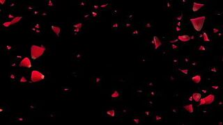 Ее тайная фантазия - порно видео